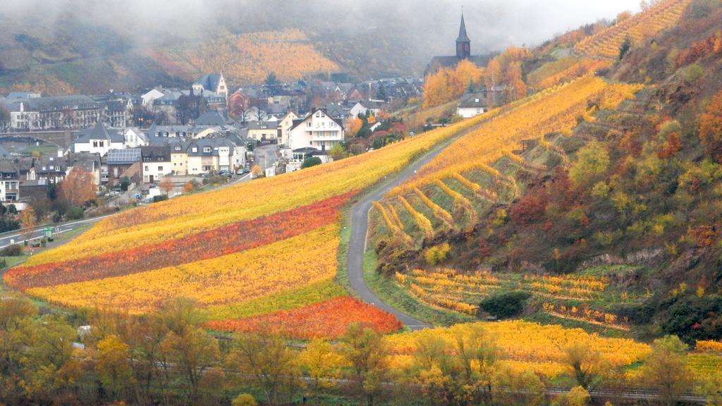 Apartment Happy Mosel โคเคห์ม ภายนอก รูปภาพ