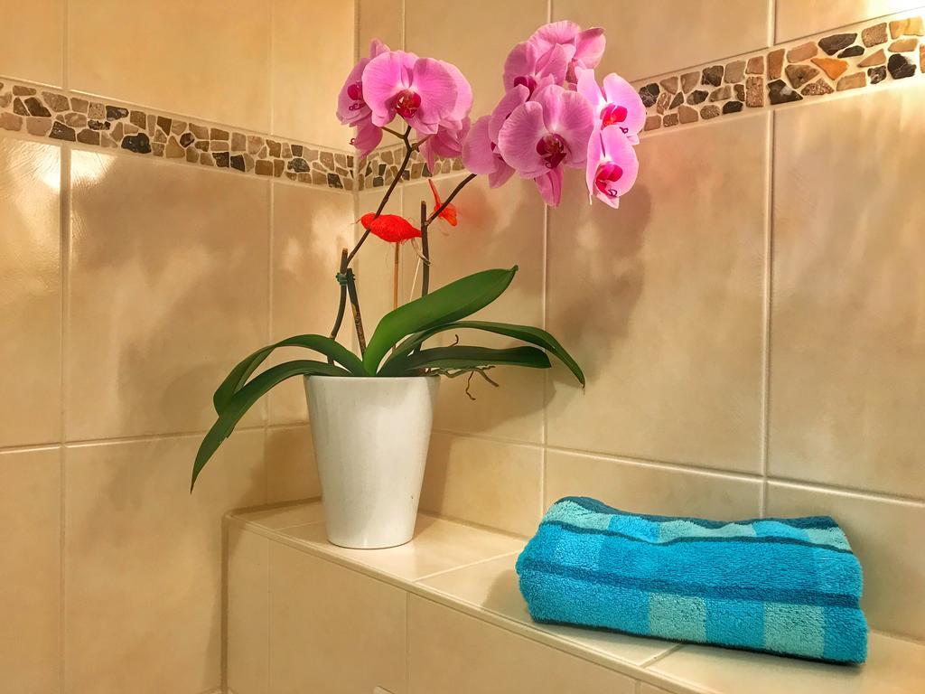 Apartment Happy Mosel โคเคห์ม ภายนอก รูปภาพ
